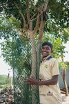 Indien: Baumpate