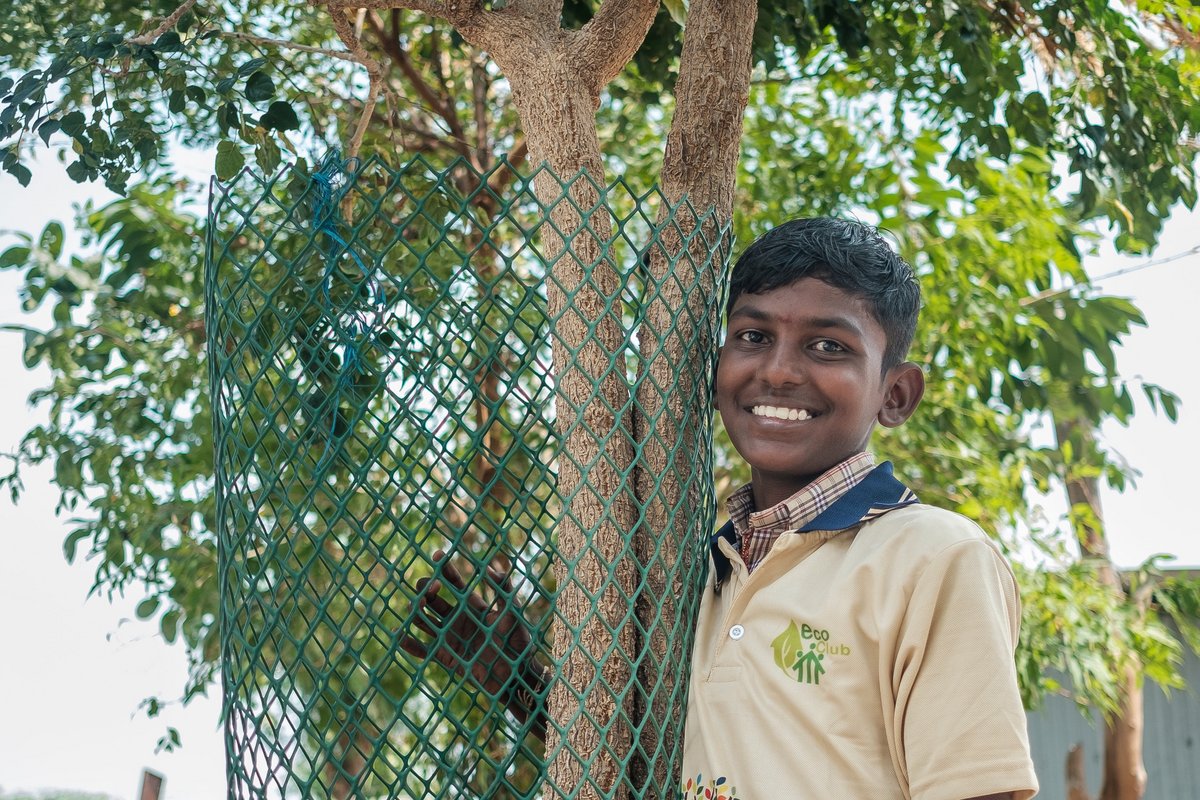 Indien: Baumpate