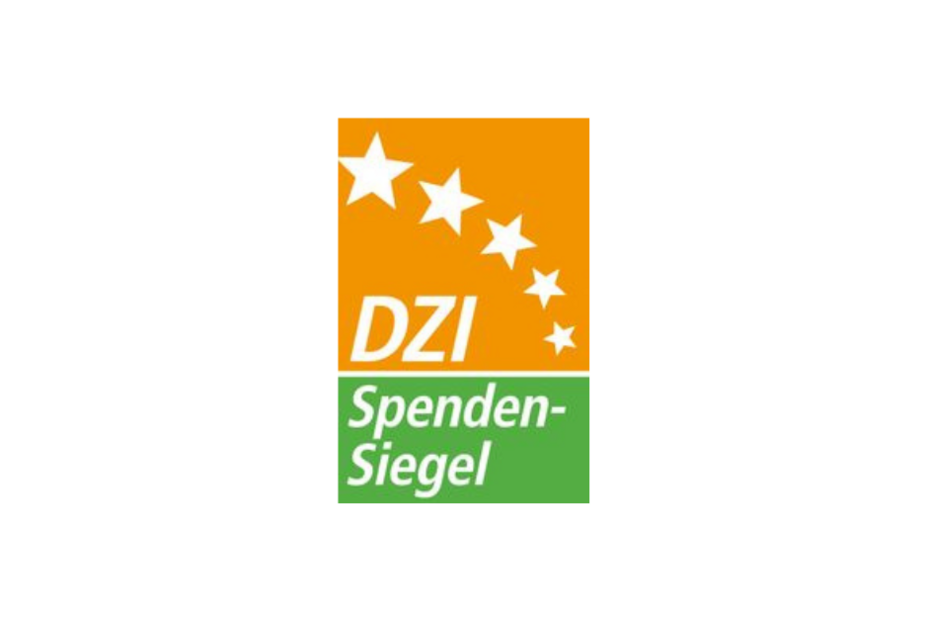 Logo DZI