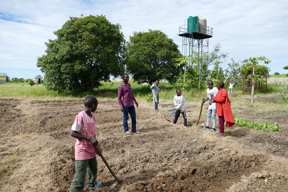 Arbeit auf dem Feld in Makululu