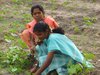Indien: Mädchen auf dem Feld