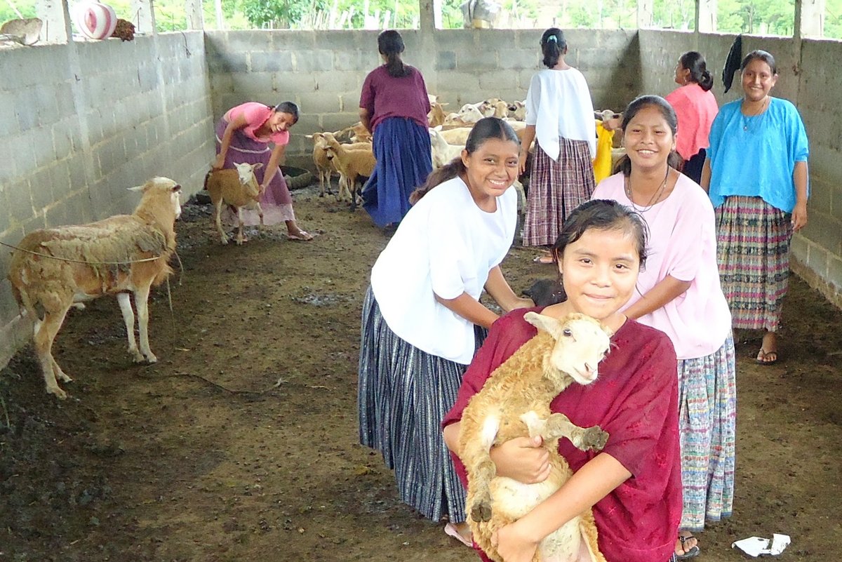 Guatemala: Maedchen mit Nutzvieh