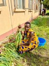 Uganda: Ernte in Palabek